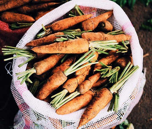 Agriculture