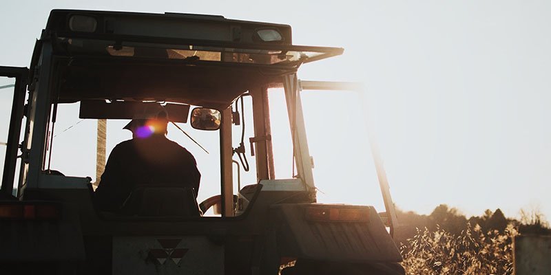 agriculture