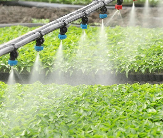 Irrigation
