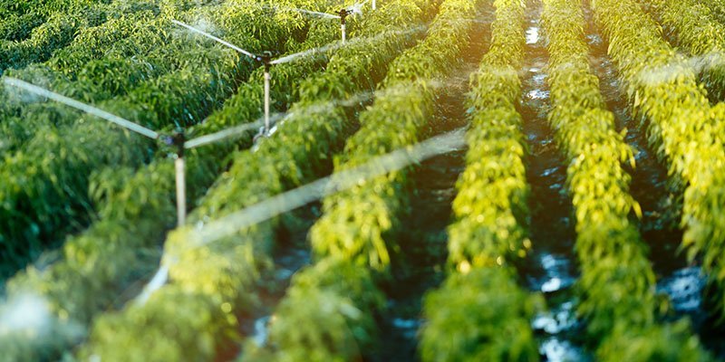 Irrigation Systems
